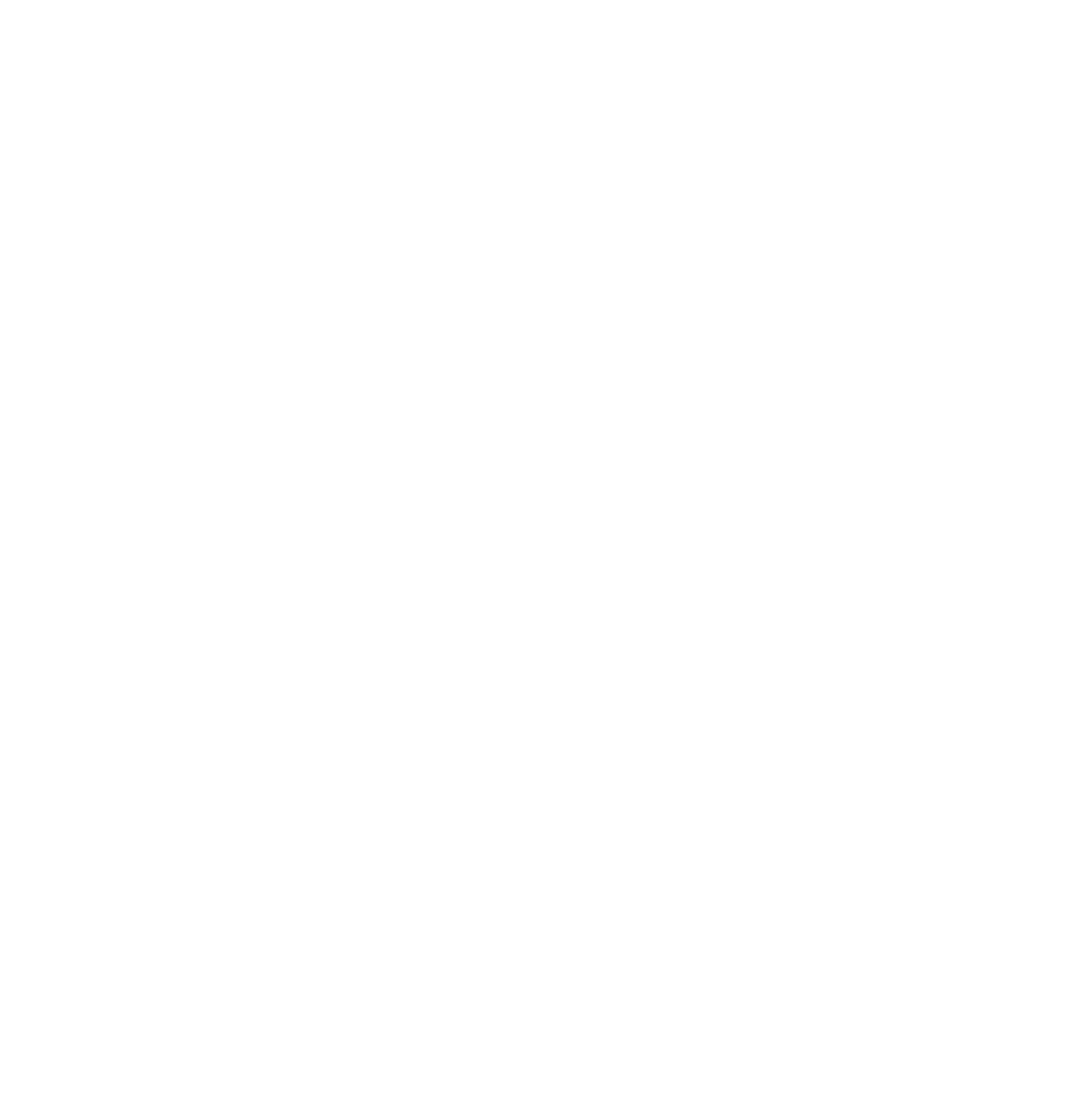 The Indian Institute Of Architects